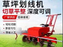 點(diǎn)擊查看詳細(xì)信息<br>標(biāo)題：草皮劃線(xiàn)機(jī) 閱讀次數(shù)：3112